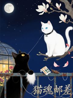 猫魂邮差