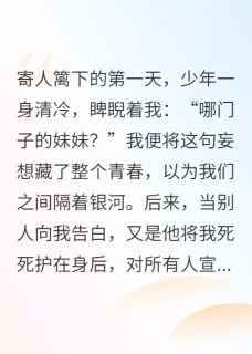 念念不屿