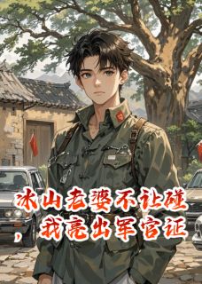 冰山老婆不让碰，我亮出军官证