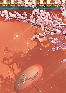 重生后，我杀尽丈夫全家