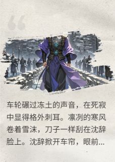 边陲迷局，雪域孤城