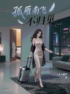 孤雁南飞不归巢