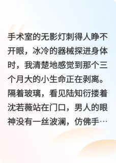 曾经的爱，陆知衍