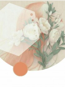 重生后我撕碎恶婆家的画皮