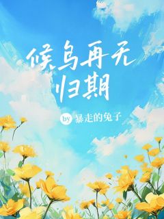 候鸟再无归期