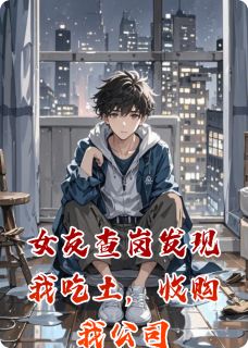 女友查岗发现我吃土，收购我公司