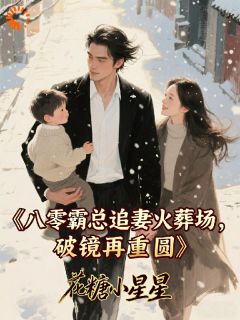 八零霸总追妻火葬场，破镜再重圆