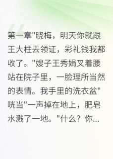 抢要下乡名额后我逆袭成大学教授