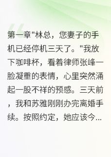 假离婚后妻子消失，带走全部身家