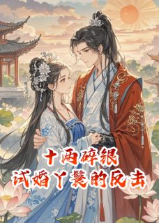 十两碎银，试婚丫鬟的反击
