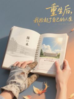 重生后，我捡起来自己的人生