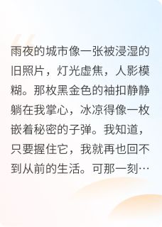 黑金袖扣