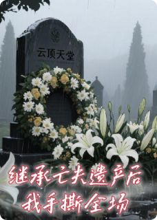 继承亡夫遗产后我手撕全场