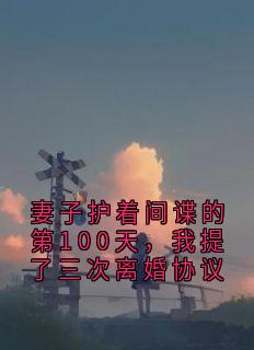 妻子护着间谍的第100天，我提了三次离婚协议