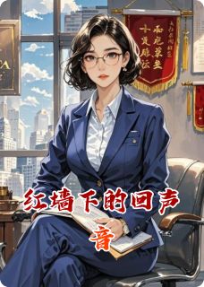 红墙下的回声音