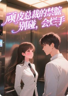 顽皮总裁的禁脔，别碰，会烂手