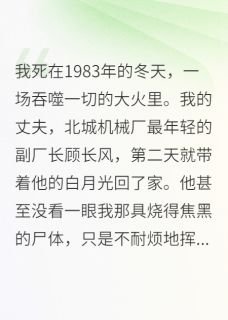 重生八零：我死后，渣男疯了