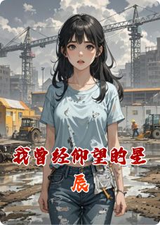 我曾经仰望的星辰