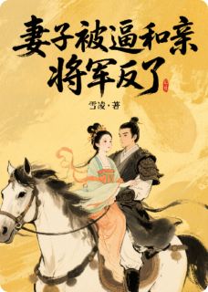 妻子被逼和亲，将军反了