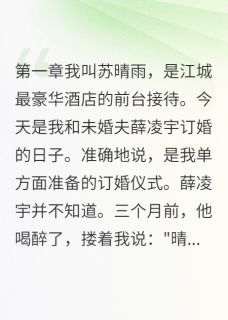 总裁失忆后对我动心了
