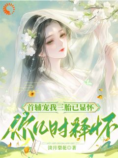 首辅宠我三胎已显怀，你几时释怀
