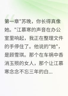 白月光替身？我不做！