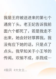 王爷他本不是个疯的