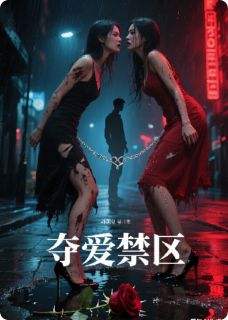 夺爱禁区