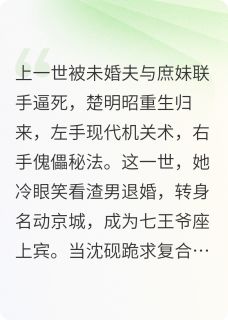 退婚后，我成了大宋第一傀儡师