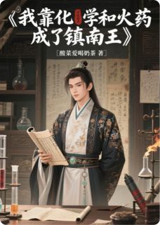 我靠化学和火药成了镇南王