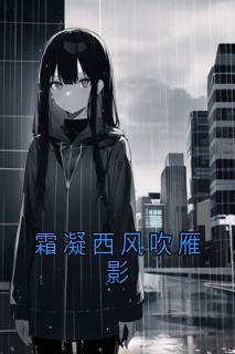 霜凝西风吹雁影