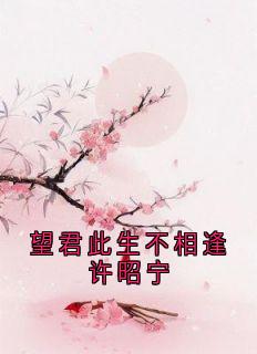 望君此生不相逢许昭宁