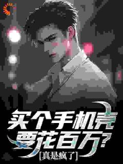 买个手机壳要花百万？真是疯了