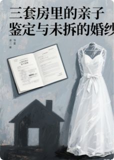三套房里的亲子鉴定与未拆的婚纱