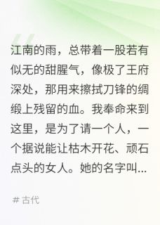 巧手破局：王爷的追杀令