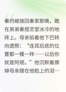 碾碎替身剧本