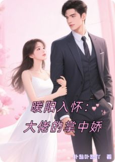 暖阳入怀：大佬的掌中娇