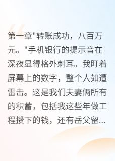 发现妻子转八百万给弟弟我离婚了