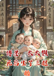 傅总，太太假死后生了三胞胎