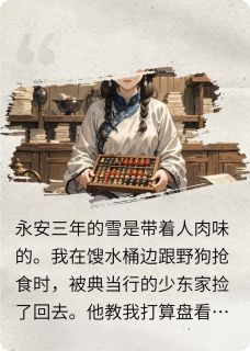 婢女翻身：我在古代当金算盘