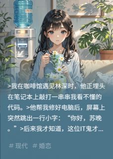 他写的爱，是囚禁我的程序