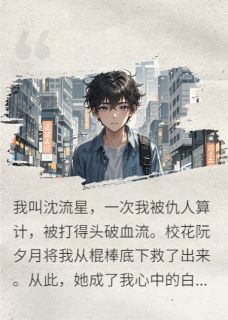 流星赶月