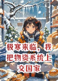 极寒来临，我把物资系统上交国家