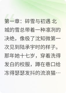 雾里无归人