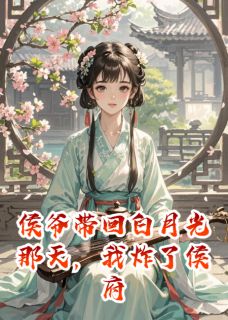 侯爷带回白月光那天，我炸了侯府