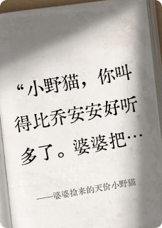 婆婆捡来的天价小野猫