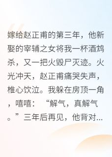 王妃假死遁逃后，王爷狂追妻