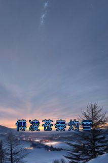 傅凌苍秦灼雪