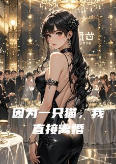 因为一只猫，我直接离婚