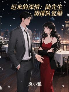 迟来的深情：陆先生，请排队复婚